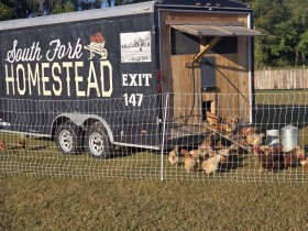 A "South Fork Homestead" chicken coop trailer with hens walking out