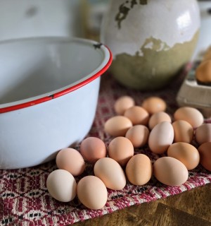 Natural brown chicken eggs